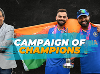 夏洛特黄蜂 夏洛特黄蜂