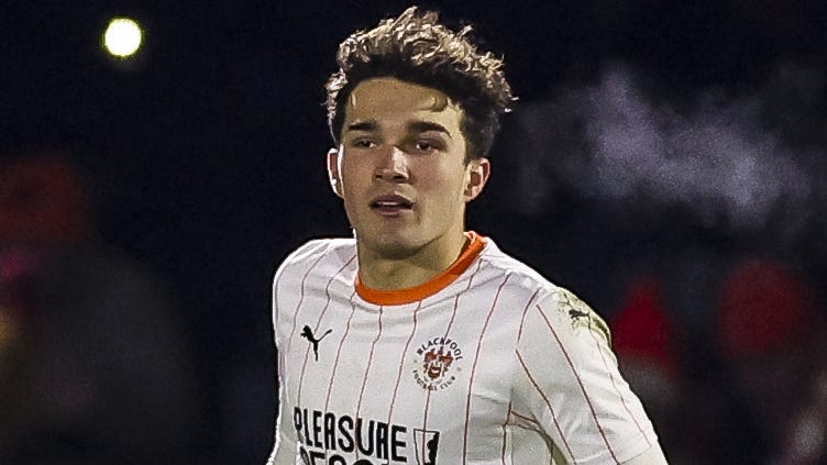 拔的系统化 拔的系统化